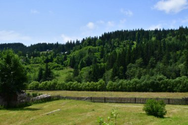 Ukrayna Karpatları 'nda yaz manzarası