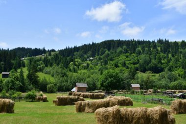 Yazın güzel dağ manzarası, Karpatlar köyü, Ukrayna
