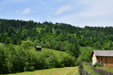 Karpat dağlarında güzel bir yaz manzarası.