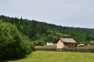 Yazın dağlarda güzel ahşap bir ev