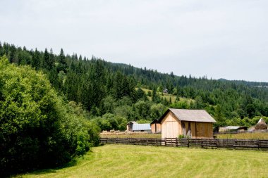 Ormandaki eski ahşap ev