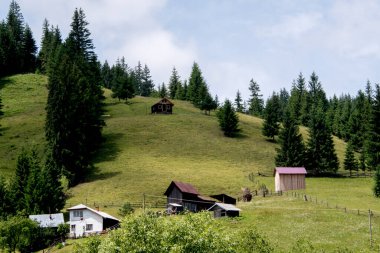 Karpat Dağları manzarası