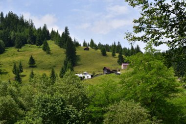 Yazın dağlarda Bohini köyü