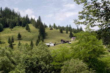 Etrafı yeşilliklerle çevrili güzel bir ev ve dağlık bir arazide bir orman.