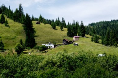 Dağlardaki yeşil ormanın güzel yaz manzarası