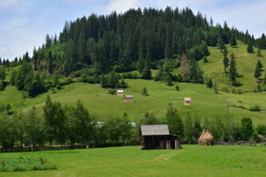 Ukrayna 'nın Karpatlar Köyü