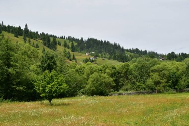 Yaz aylarında Karpat Dağları