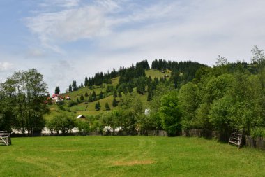 Dağlarda yaz, güzel dijital fotoğraf