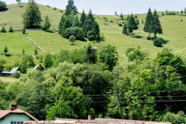 yeşil ağaçlar ve dağ zirveleri