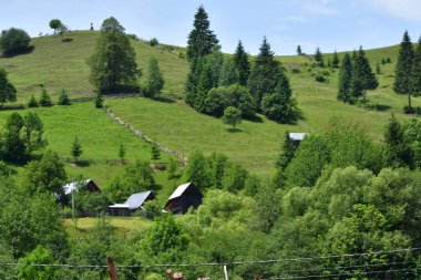 Dağlarda yeşil çayır, doğa arka planı