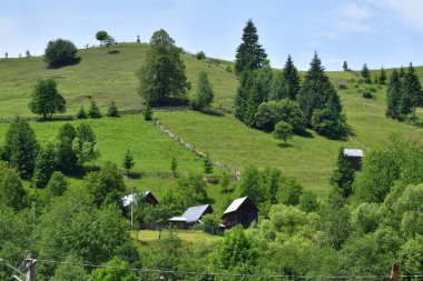 Doğanın güzel manzarası