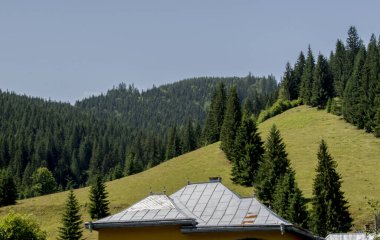 Yazın Karpat Dağları, yeşil tepeler, orman, öndeki ağaçlar, mavi gökyüzü