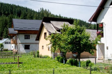 Ormandaki eski ahşap ev