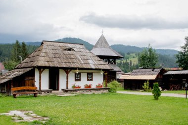 Ormanın arka planında ahşap kulübe