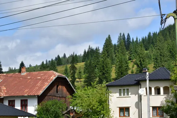 Arka planda köy evleri ve yeşil ağaçlar var.