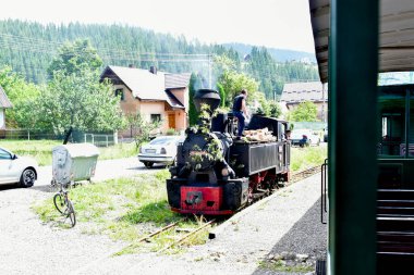 Ormanda eski bir buharlı lokomotif