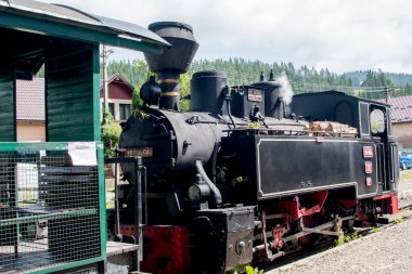 Ormanda eski bir buharlı lokomotif