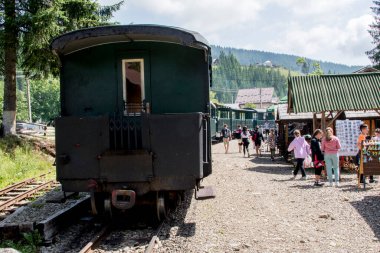 Tren ormanın içinde.