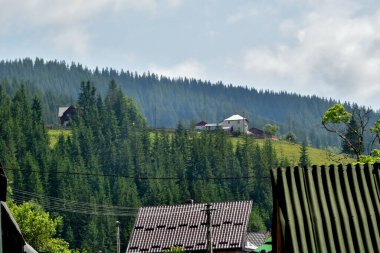 Yazın bir dağ manzarası