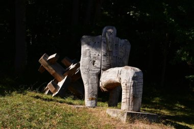 Parktaki ahşap bank.