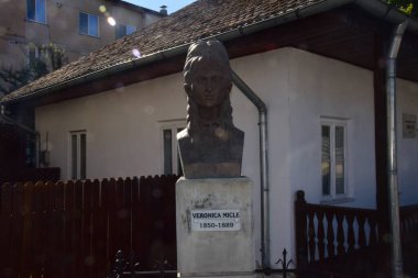 Köyün eski ahşap evi.