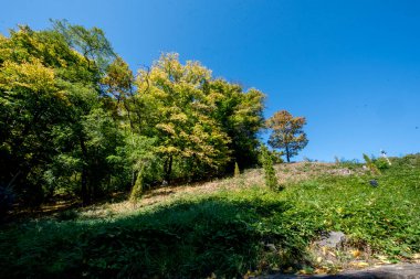 Doğanın güzel manzarası