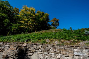 Antik Roma Forum Roma kalıntıları