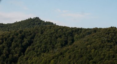                                Dağlardaki güzel orman