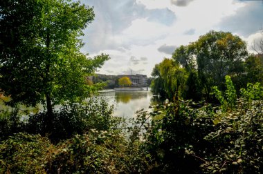 Ormandaki bir nehir manzarası