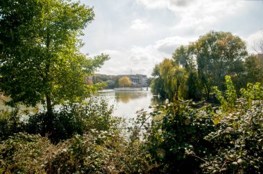 Ağaçlarla dolu nehir.