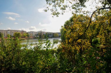 Parkta nehri olan güzel bir manzara.