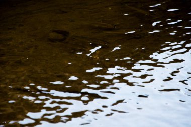 dalgalı su yüzeyi.