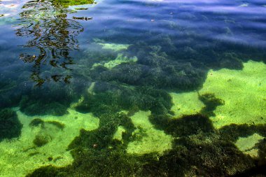 mavi deniz suyu arka planı, soyut sualtı arkaplanı