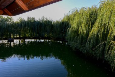 Parktaki gölün güzel manzarası