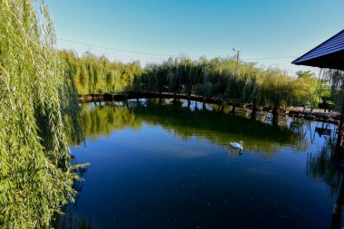 Güzel göl manzarası