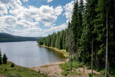 Ormandaki gölde Dağlarda