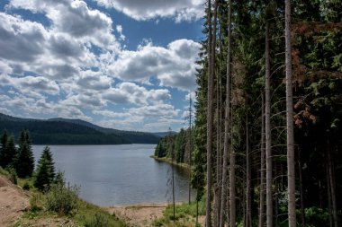 Göl manzaralı orman manzaralı