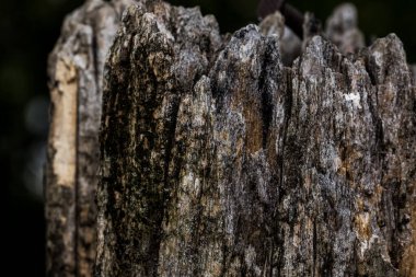 eski tahta arkaplan dokusu