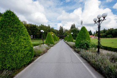 Güzel manzara, ağaçlar, yeşil çimenler, doğa.
