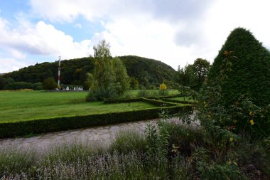 Parkta ağaçlar ve bitkilerle çevrili yeşil bir tarlanın güzel bir görüntüsü.