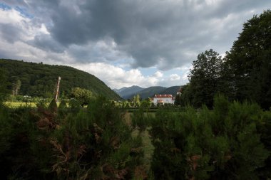 Karpatlar 'da güzel bir yaz manzarası