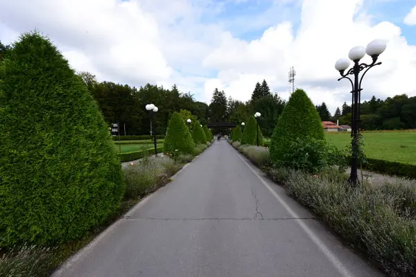 Parkın güzel manzarası.