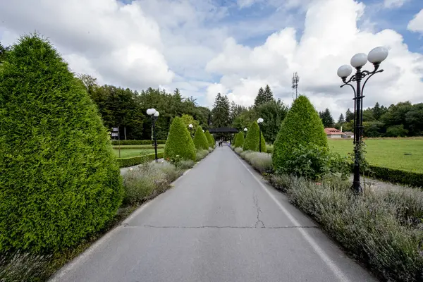 Güzel manzara, ağaçlar, yeşil çimenler, doğa.