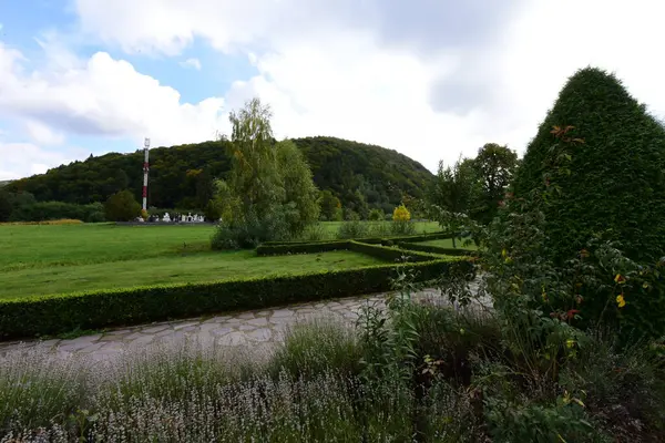 Parkta ağaçlar ve bitkilerle çevrili yeşil bir tarlanın güzel bir görüntüsü.