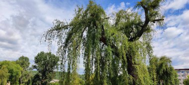 Barselona şehrinin manzarası