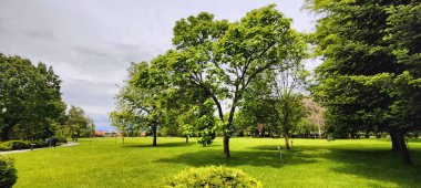 Parkın güzel manzarası