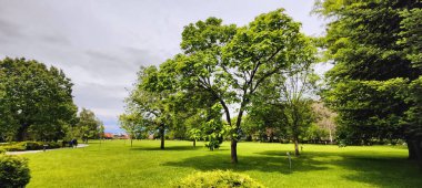 Parkın güzel manzarası