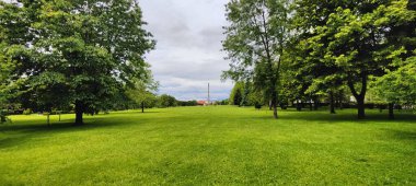 Ağaçları ve yeşil otları olan güzel bir manzara.