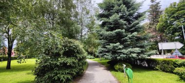 Doğanın güzel manzarası