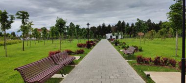 Parkın güzel manzarası